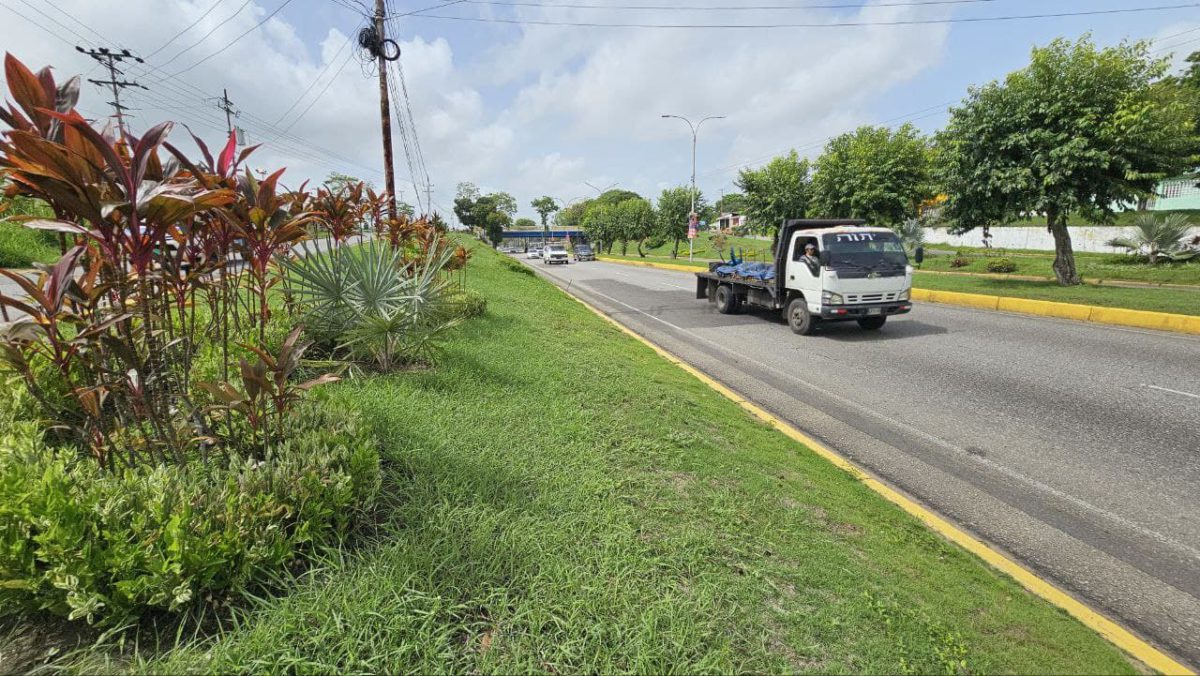 Fortalecen trabajos de embellecimiento en Maturín 2 fortalecen trabajos de embellecimiento en maturin laverdaddemonagas.com limpieza2