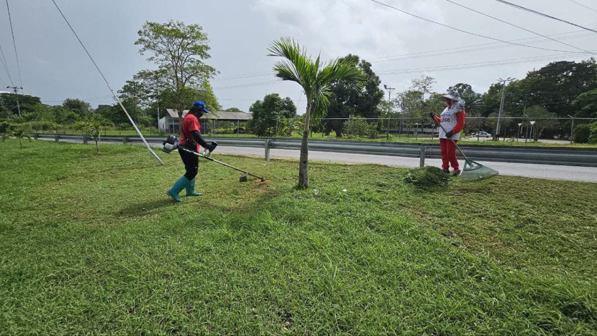 Fortalecen trabajos de embellecimiento en Maturín 4 fortalecen trabajos de embellecimiento en maturin laverdaddemonagas.com limpieza4