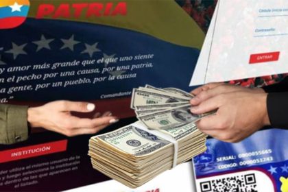 entrega en la plataforma PATRIA