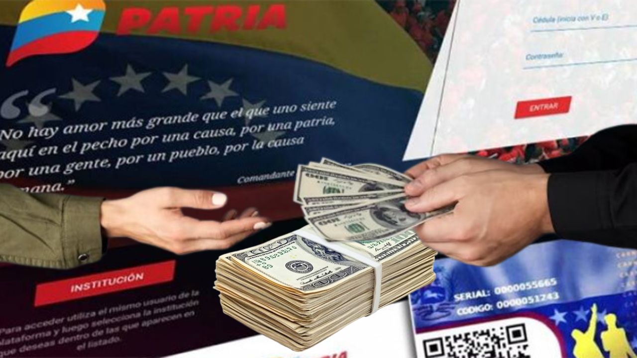 entrega en la plataforma PATRIA