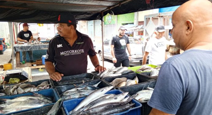 ¿Por qué bajan las ventas de pescado fresco en mercado de Maturín?