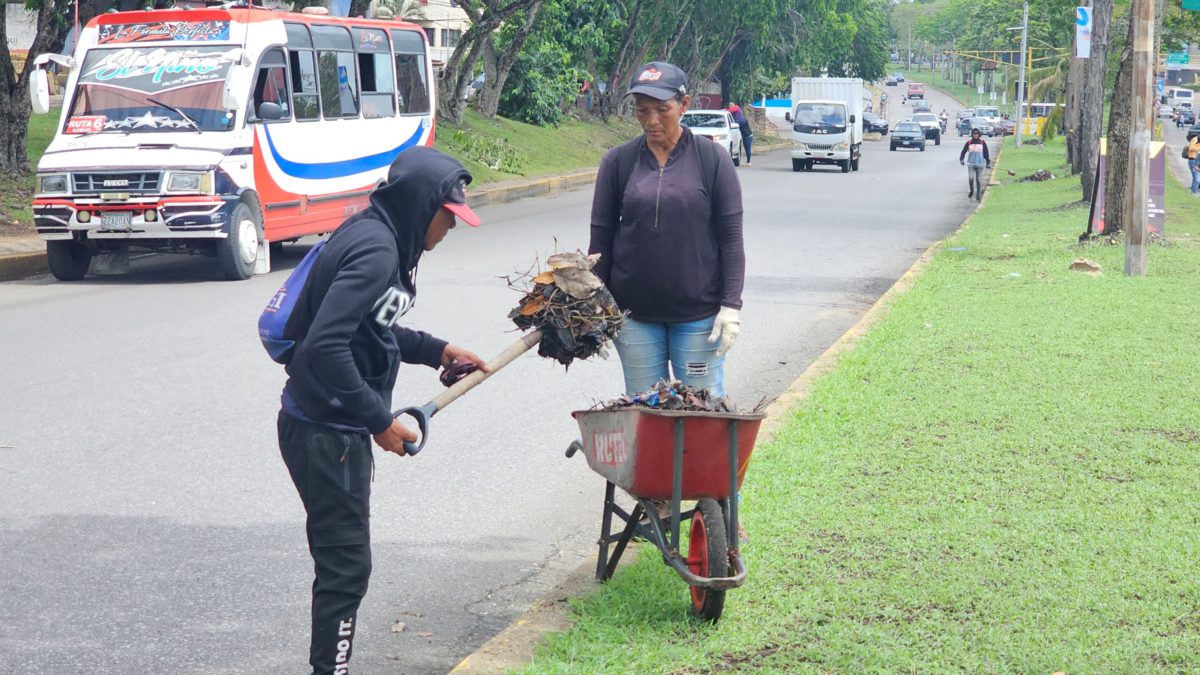 Refuerzan mantenimiento urbano con atención continua a las áreas verdes 2 refuerzan mantenimiento urbano con atencion continua a las areas verdes laverdaddemonagas.com mantenimiento2