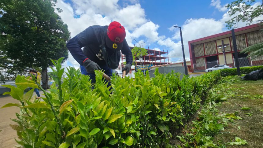 Refuerzan plan de ornato en plazas de Maturín 1 ornato