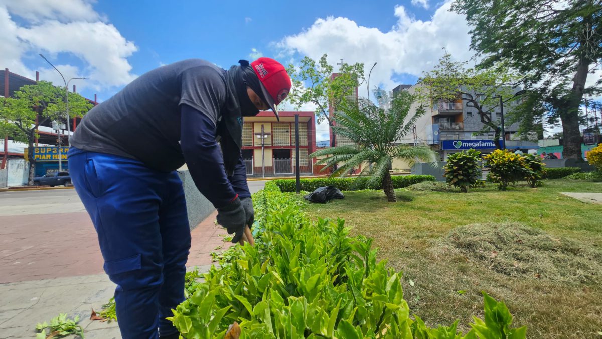 Refuerzan plan de ornato en plazas de Maturín 2 refuerzan plan de ornato en plazas de maturin laverdaddemonagas.com ornato2