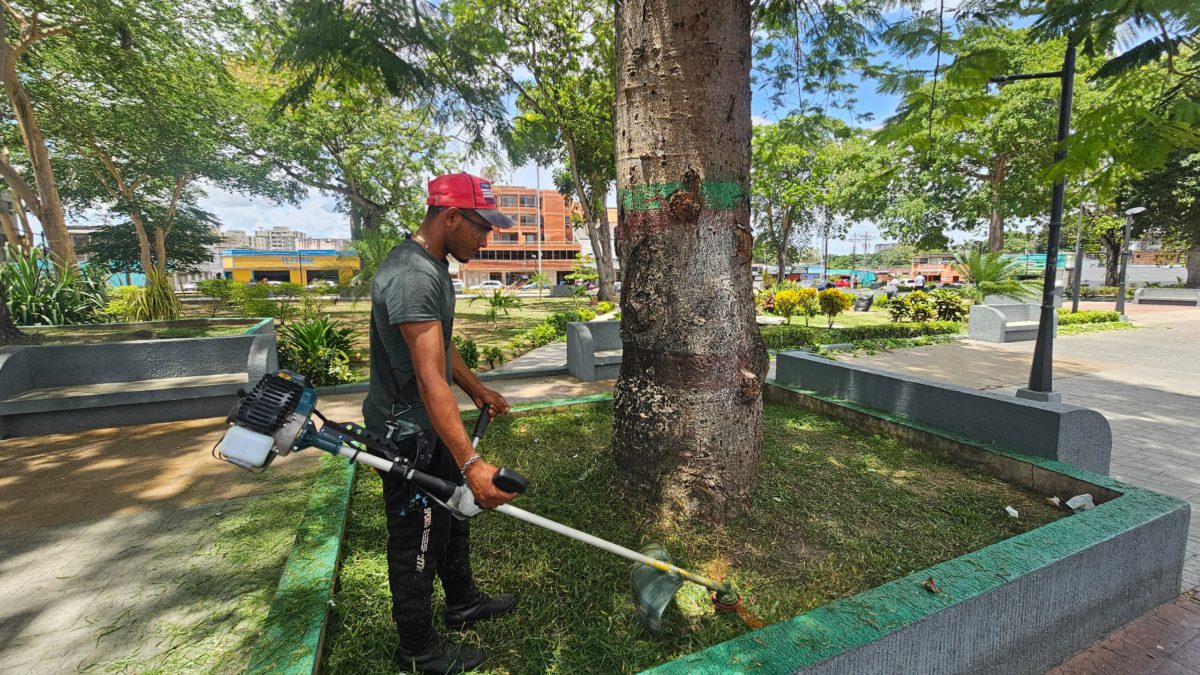 Refuerzan plan de ornato en plazas de Maturín 3 refuerzan plan de ornato en plazas de maturin laverdaddemonagas.com ornato3