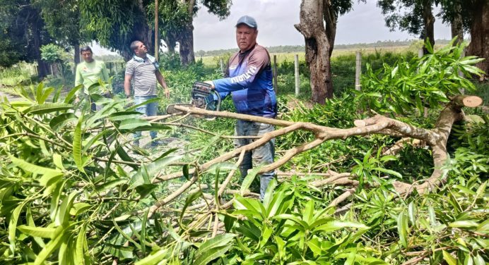 Restituyen servicio eléctrico en San Luis