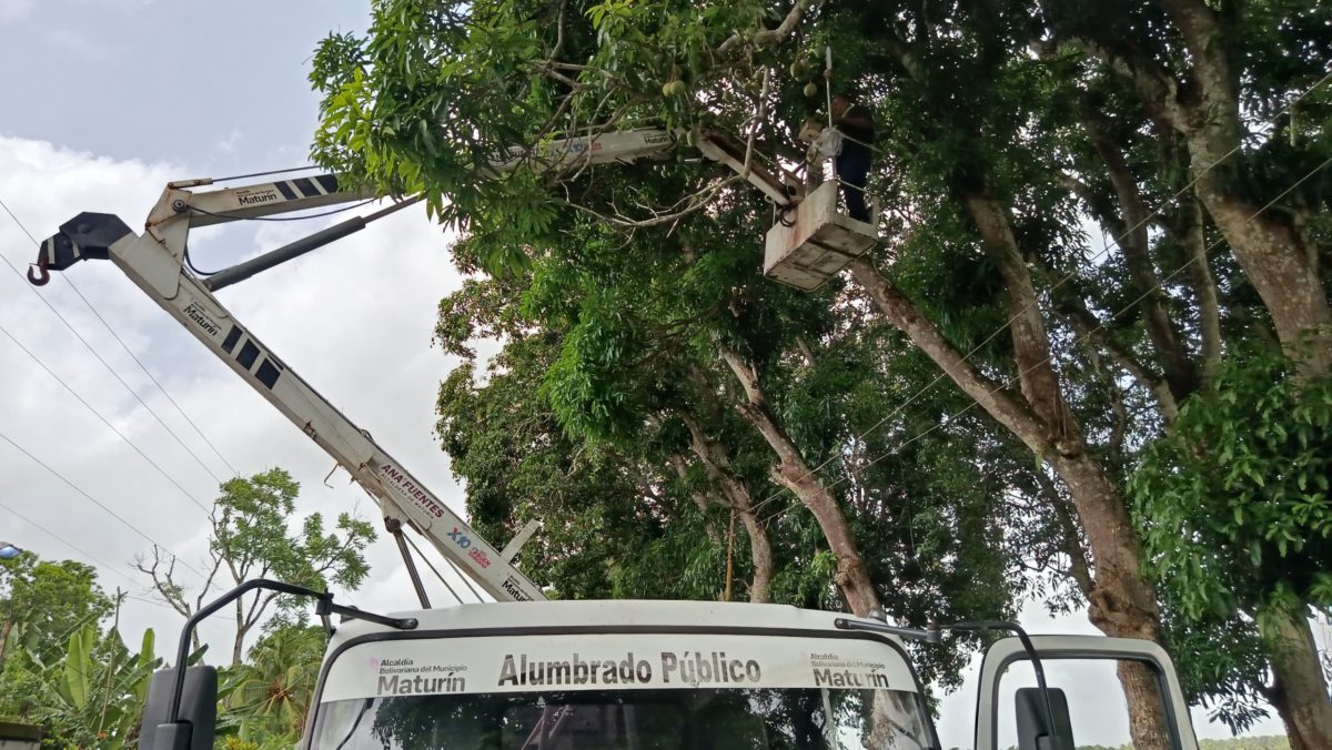 restituyen servicio electrico en san luis laverdaddemonagas.com poda2