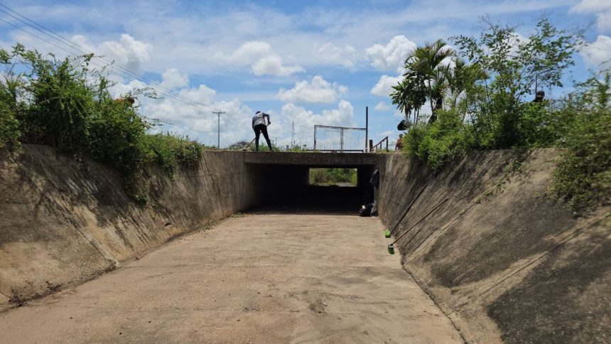 caño