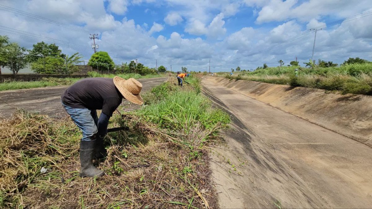Sanean mil 100 metros del caño Los Girasoles en Tipuro II 3 sanean mil 100 metros del cano los girasoles en tipuro ii laverdaddemonagas.com cano3