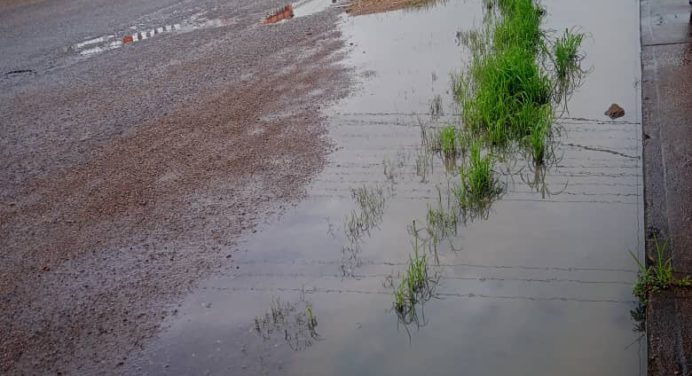 Se desbordaron aguas negras en el sector Las Garzas