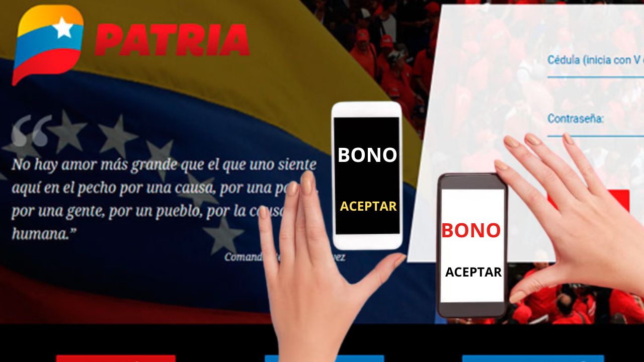 Dos bonificaciones en PATRIA