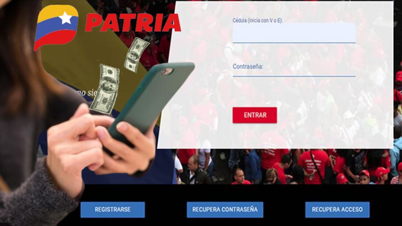 BONOS con sus montos