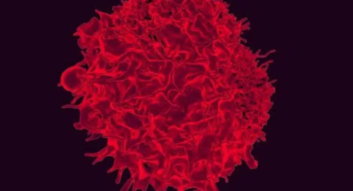 Científicos venezolanos desarrollan molécula para tratar cáncer de mama