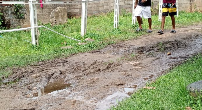 Más de 20 años sin una gota de asfalto en sector Rómulo Betancourt
