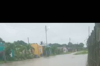 Chaguaramal