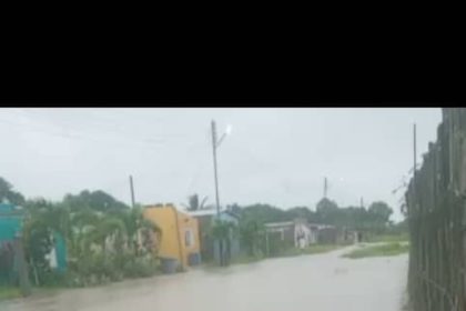 Chaguaramal