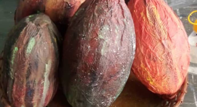 Este lunes inicia taller de reciclaje en el Inculmat