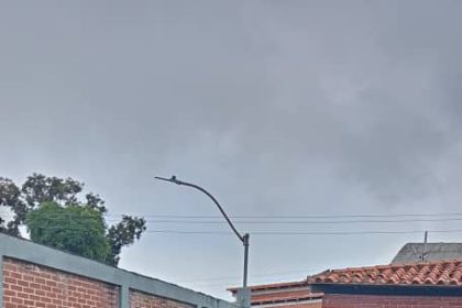 siembra