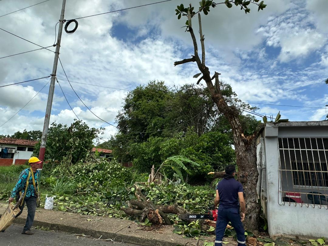 Alcaldesa de Piar evalúa daños causados por vientos huracanados en Chaguaramal 3 vientos3
