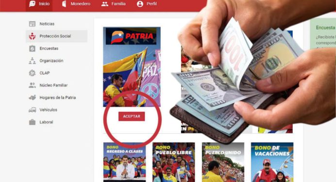 Estipendio PATRIA será asignado en las próximas horas: Actívalo