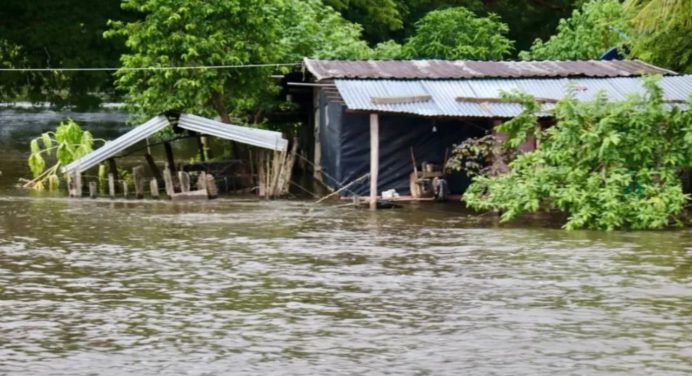 Crecida del río Apure afecta a más de 500 familias en Barinas