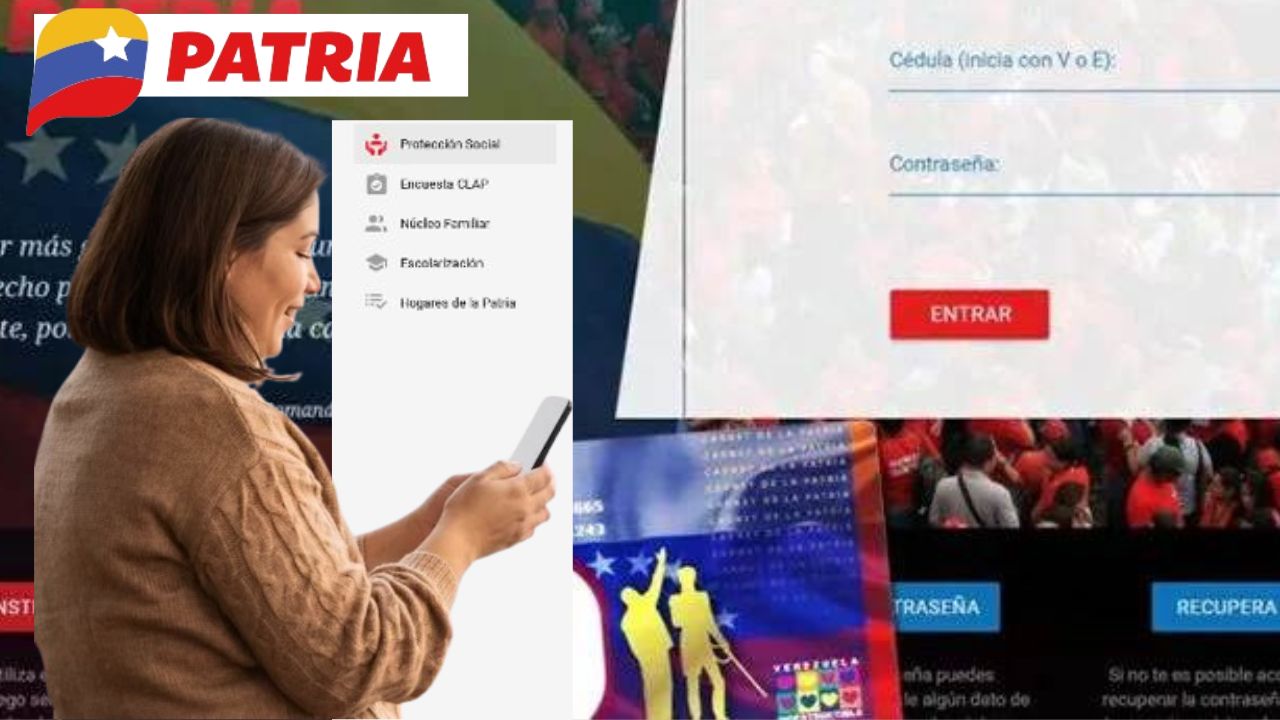 pago del día en PATRIA