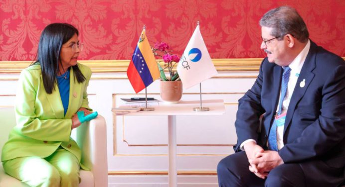 Venezuela y el Foro de Países exportadores de gas revisan estrategias de cooperación sólida