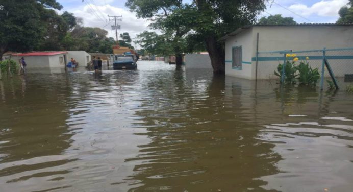 Emergencia en Bolívar: Ocho comunidades en riesgo por el desbordamiento del río Orinoco
