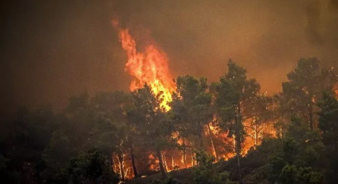 Incendios en Grecia: La lucha por combatirlos continúa, mientras van 2.500 evacuaciones