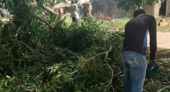 Alcaldía de Maturín ejecuta despejes de línea eléctrica en Santa Inés