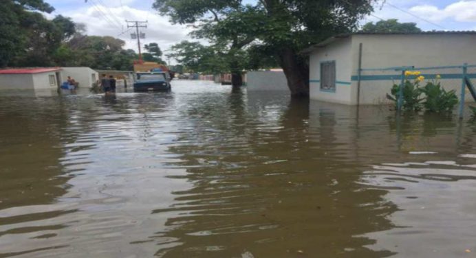 Mil 500 afectados deja crecida del río Orinoco cuyo nivel sube ante lluvias en Amazonas