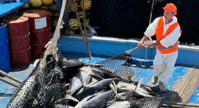 Más de 900 toneladas de atún del Pacífico llegaron al país para fortalecer la economía