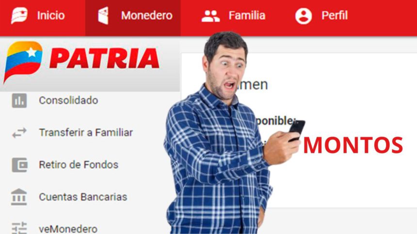 Montos de PATRIA de los bonos activos este 5-agosto: Consulta 1 Montos de PATRIA