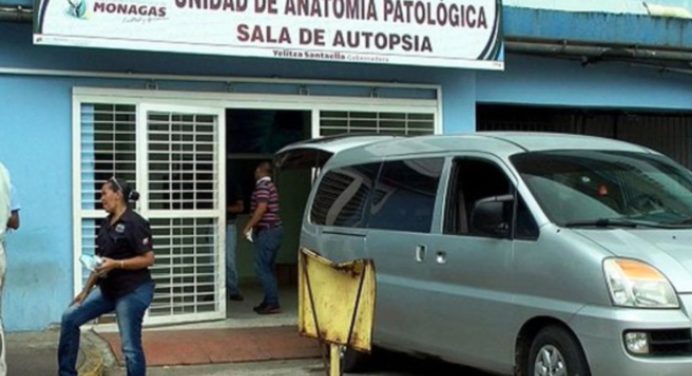 ¡Lamentable! Se quedó dormido y murió tras impactar su carro contra un árbol
