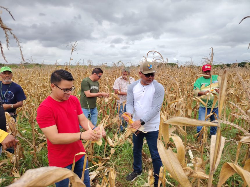 Monagas será vitrina a nivel nacional en reproducción de semillas 1 semillas Monagas