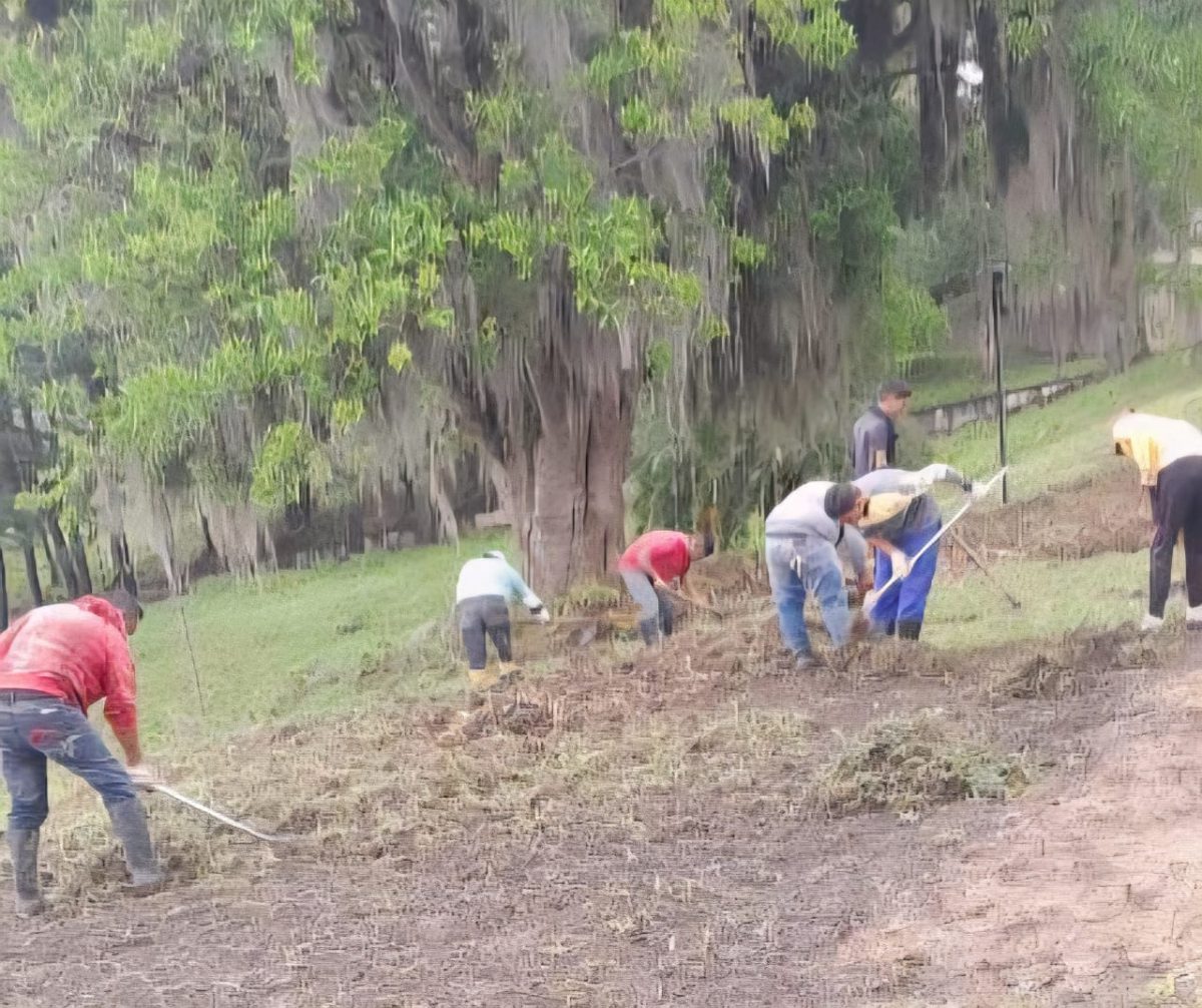 Avanzan los trabajos de rehabilitación del Mirador Turístico de Caripe 5 caripe5