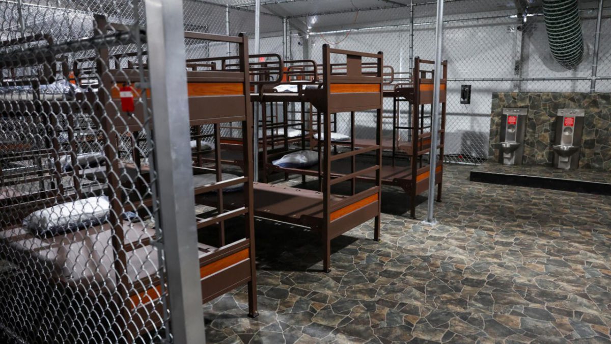 obras en el Alligator