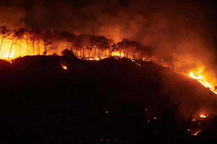 Incendios arrasan en España: Un muerto y miles de personas evacuadas en la emergencia 2 Incendios arrasan en España