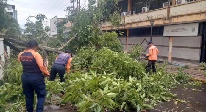 Techos volados, árboles y tendidos eléctricos caídos dejó Onda Tropical 31 en Maturín
