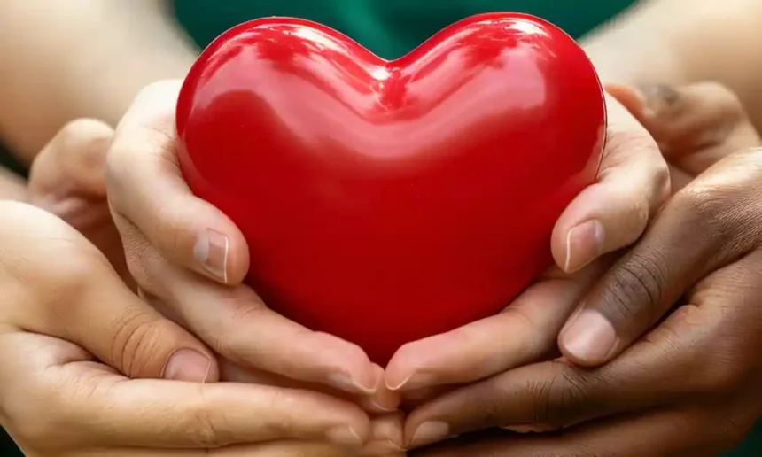 Día Mundial del Corazón: Salud y bienestar en cada latido 1 Día mundial del corazón