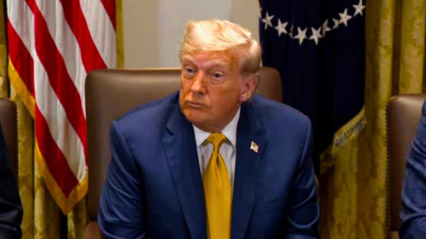 carteles de las drogas