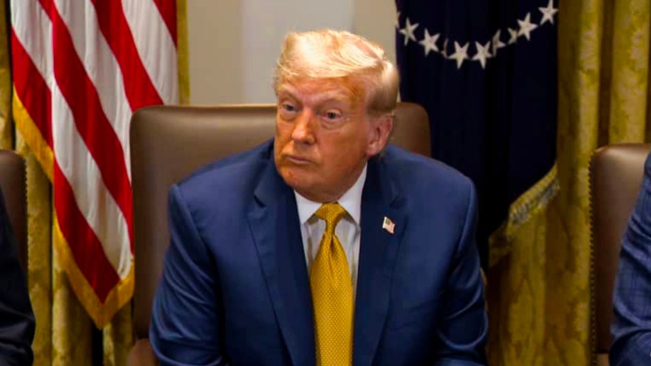 carteles de las drogas