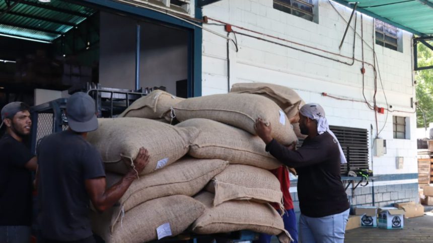 Venezuela impulsa su economía con exportaciones de cacao hacia Rusia 1 de cacao