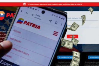 pagos en billetera PATRIA