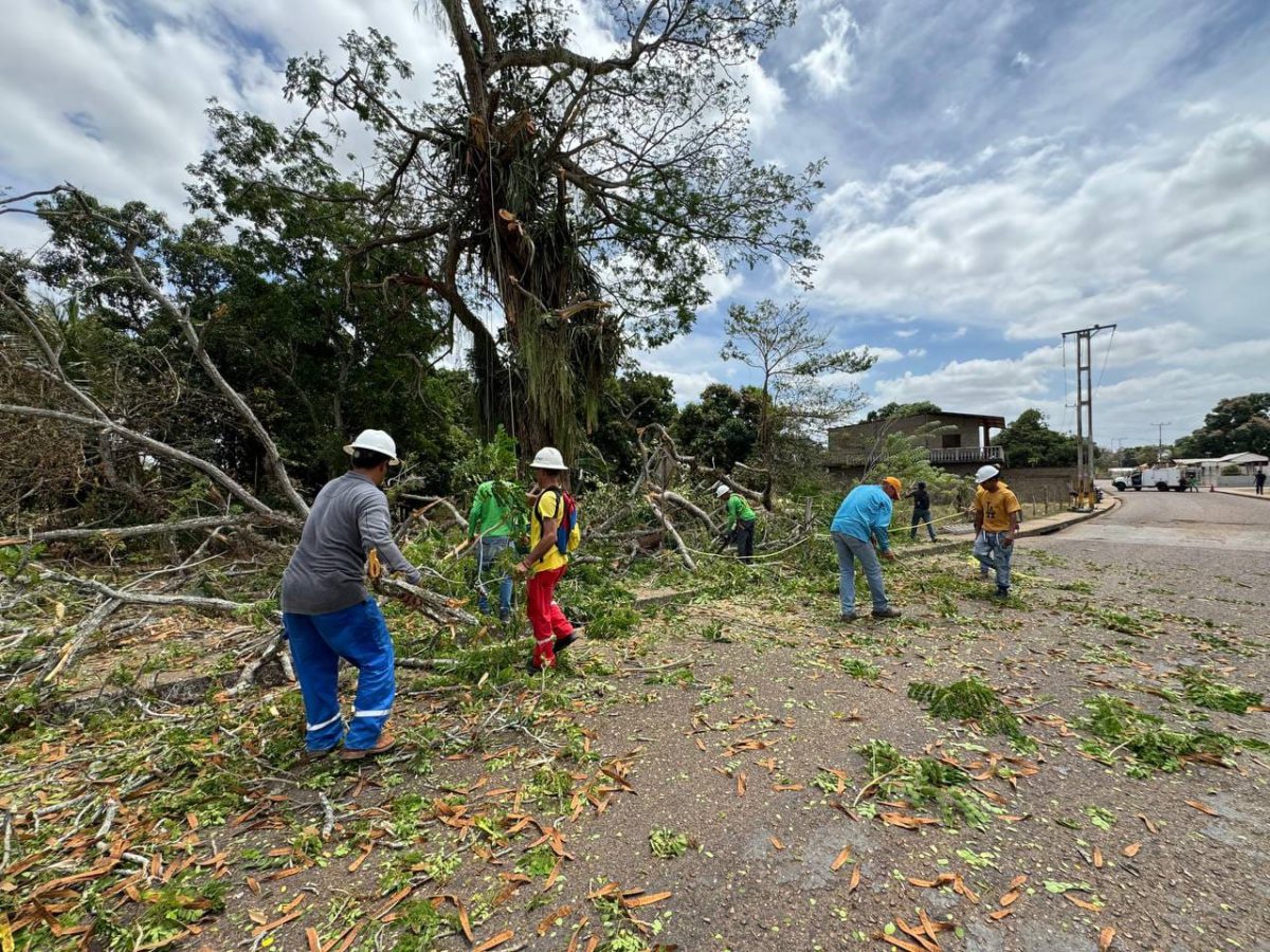 Alcalde Daniel Monteverde prioriza atención del sistema eléctrico en Cedeño 3 cedeno3 1