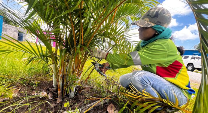 Alcaldía de Maturín embellece plaza La Periquera en Negro Primero