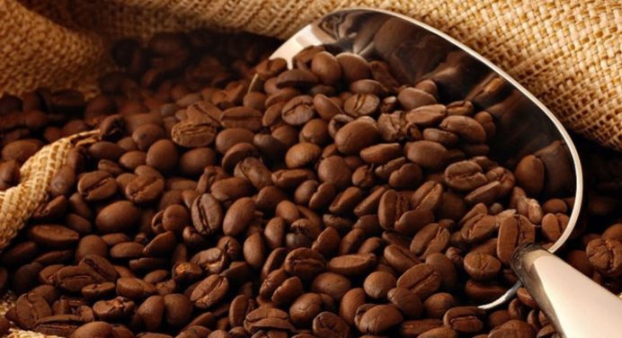 Producción de café venezolano se mantiene en niveles altos