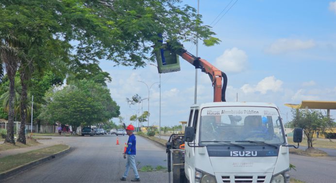 Ejecutan trabajos de despeje de líneas de alumbrado público