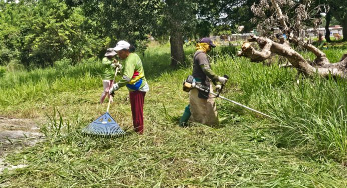 Continúa mantenimiento en los espacios verdes en Maturín