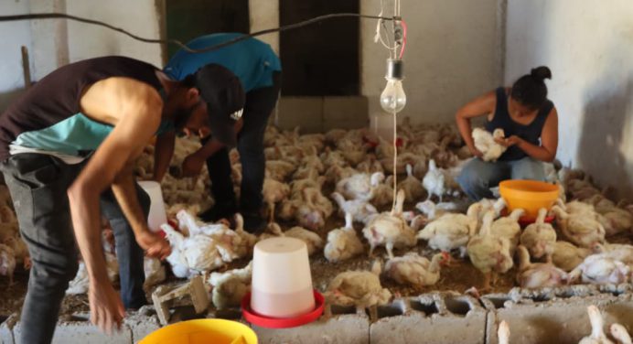 Juventud de Monagas ejecutó más de 150 proyectos de la Consulta Popular